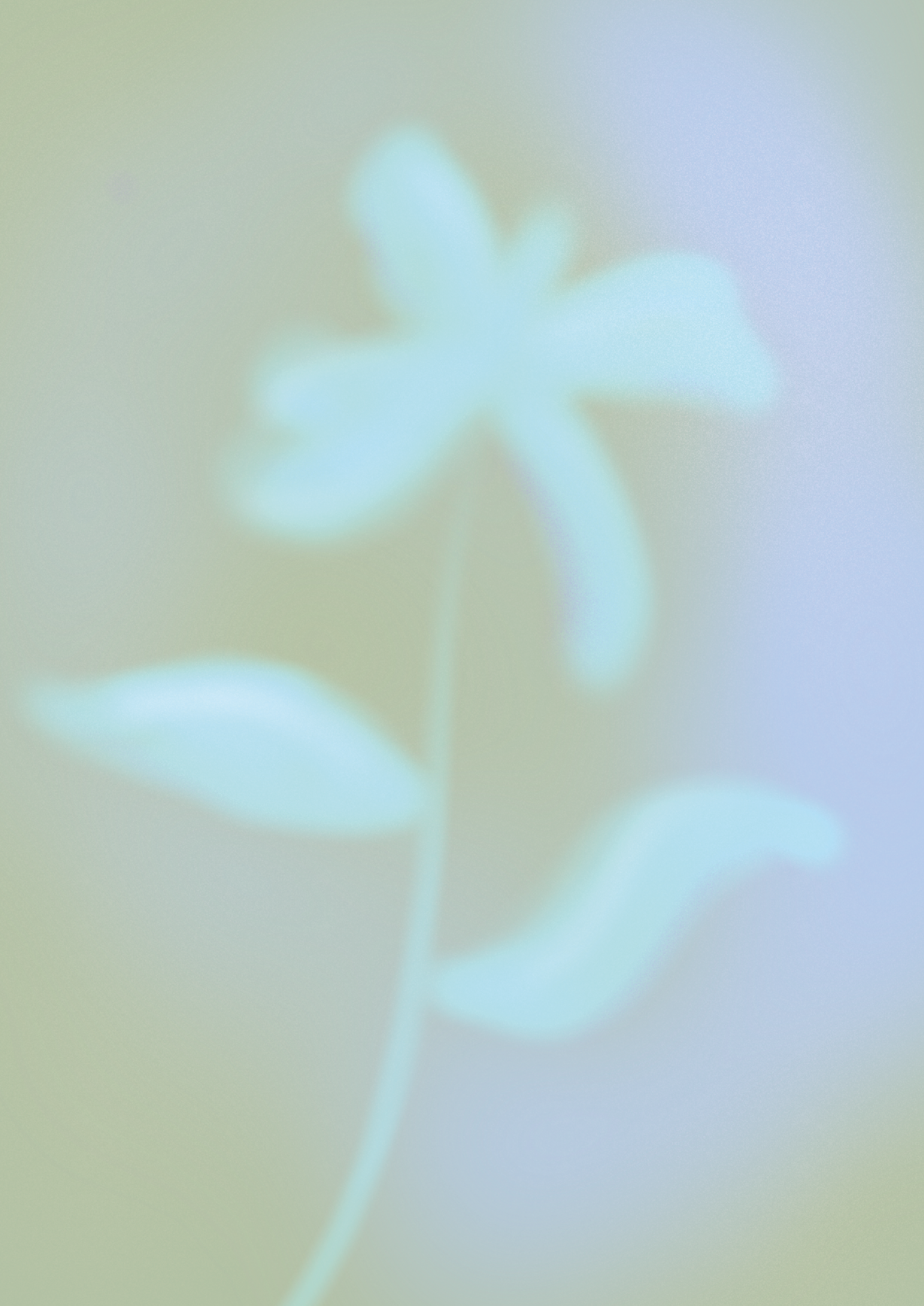 Ilustrações flores 4026