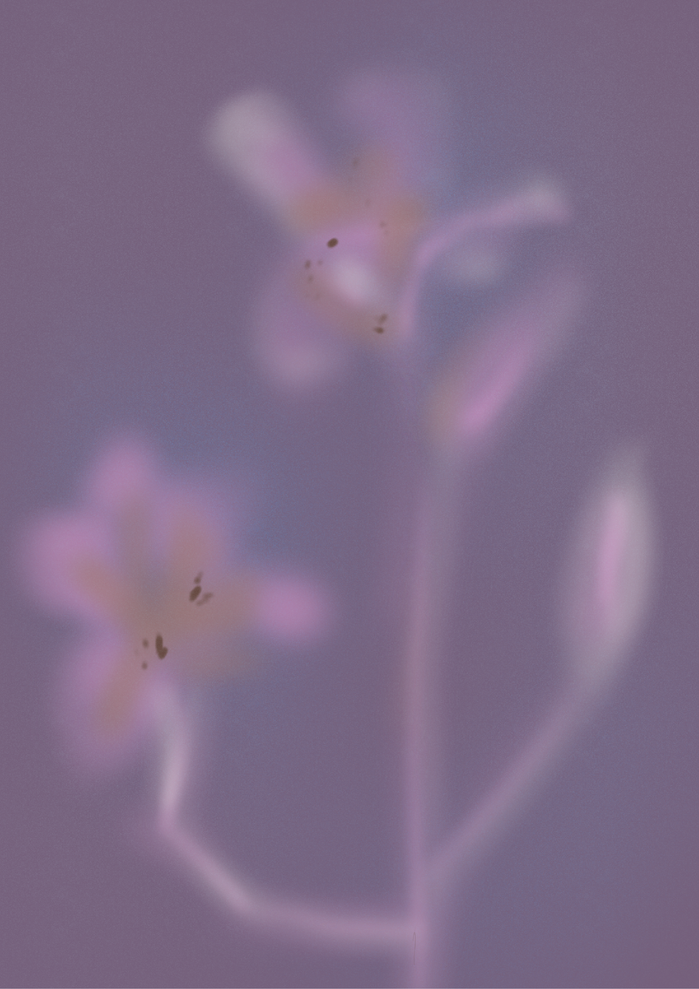 Ilustrações flores