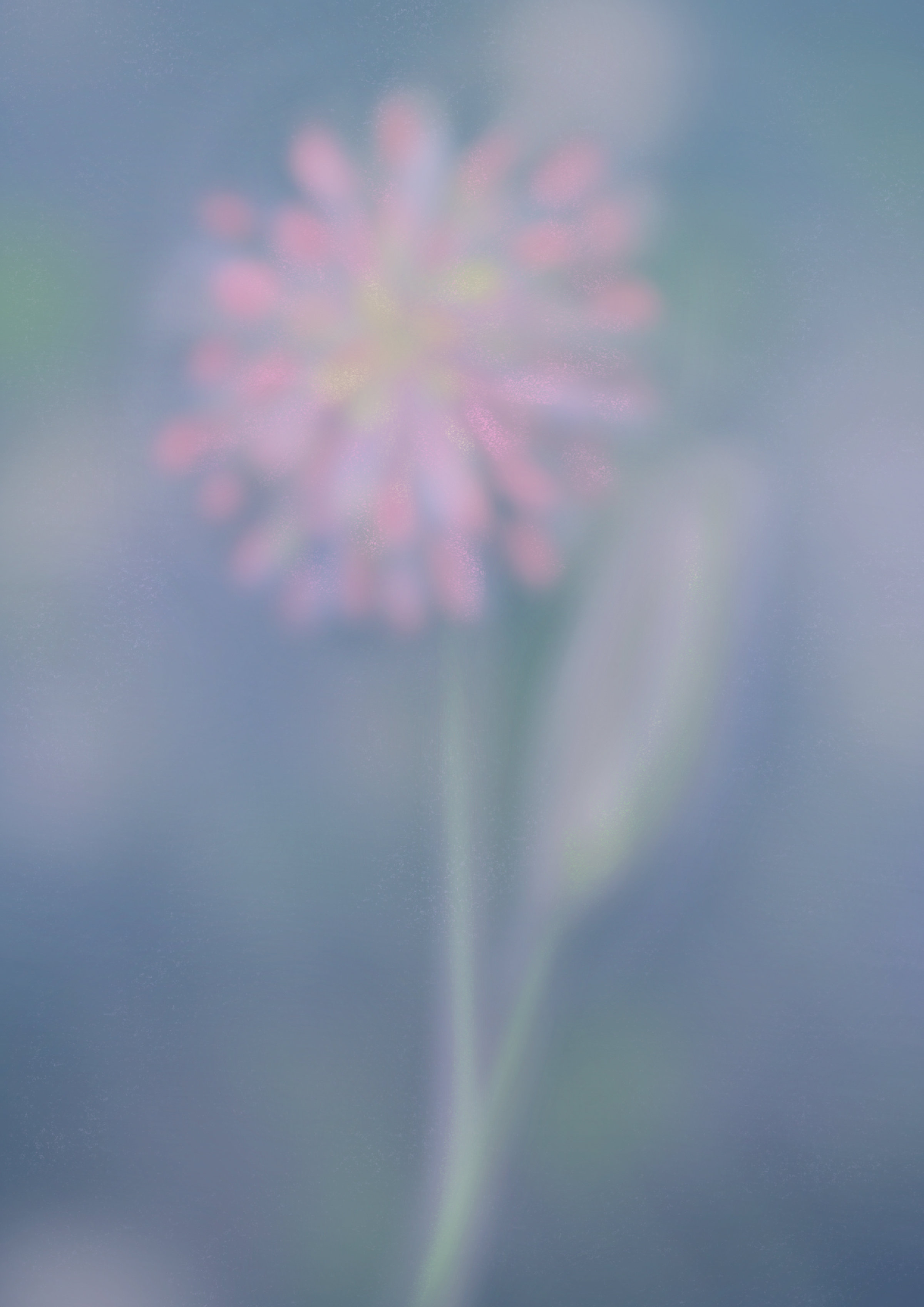 Ilustrações flores3
