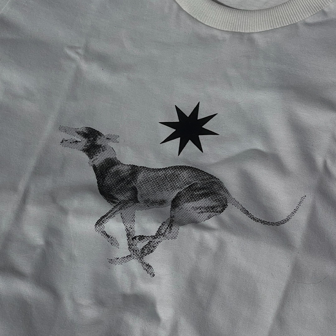 Projetopessoal camisetacachorro