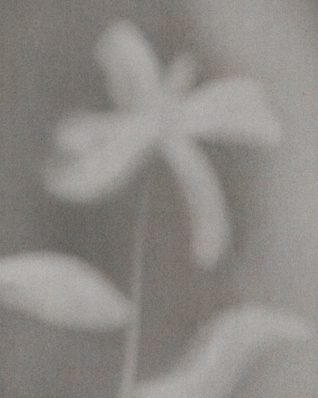 Projetopessoal zinesoftandgentle5
